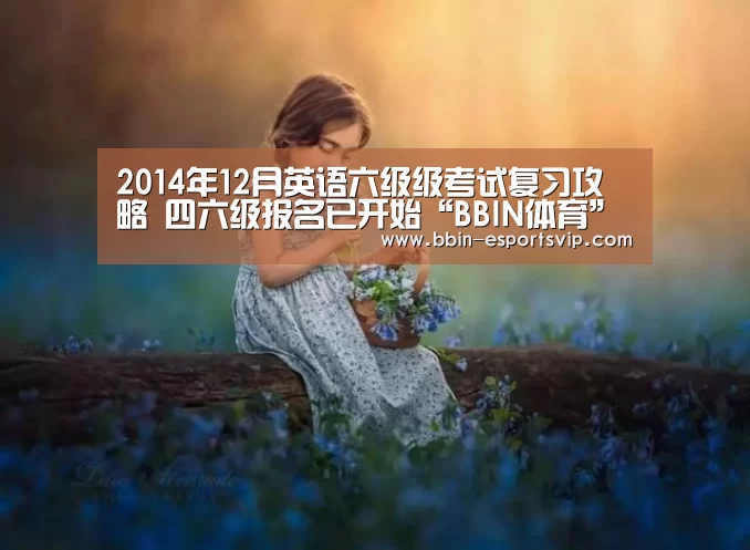 BBIN篮球