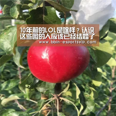 BBIN篮球