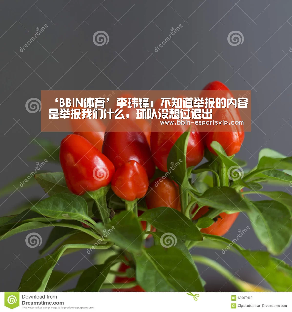BBIN体育