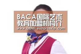 BACA国际艺术教育加盟机构介绍-BBIN电竞(图1) BBIN电竞