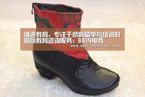 维途教育,专注于低龄留学与培训的国际教育咨询服务:BBIN电竞(图3) BBIN篮球