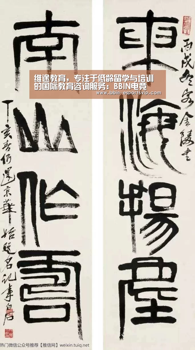 维途教育,专注于低龄留学与培训的国际教育咨询服务:BBIN电竞(图1) BBIN足球