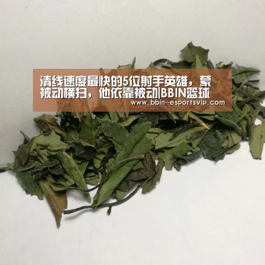 清线速度最快的5位射手英雄,蒙犽被动横扫,他依靠被动|BBIN篮球(图1) BBIN足球