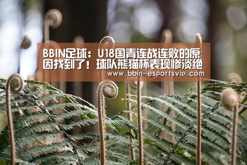 BBIN足球:U18国青连战连败的原因找到了!球队熊猫杯表现惨淡绝非偶然(图2) BBIN体育