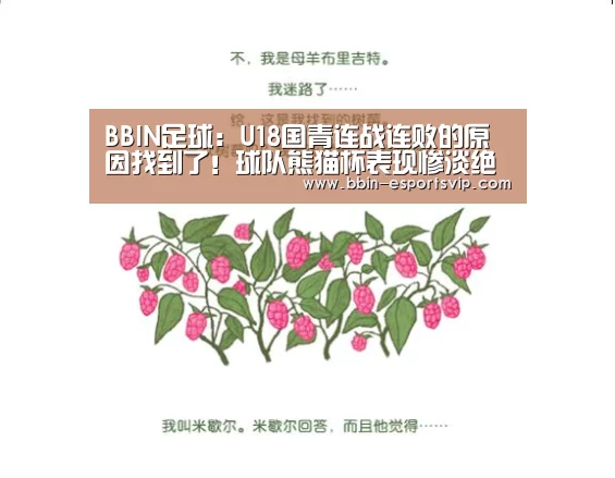 BBIN足球:U18国青连战连败的原因找到了!球队熊猫杯表现惨淡绝非偶然(图3) BBIN体育