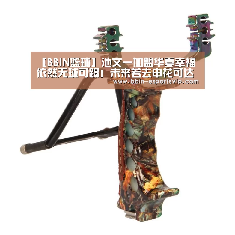 【BBIN篮球】池文一加盟华夏幸福依然无球可踢!未来若去申花可达到双赢效果(图1) BBIN体育