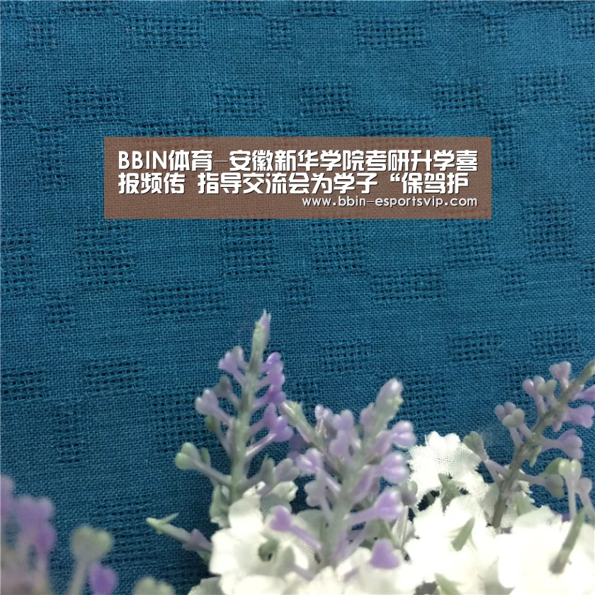 BBIN篮球